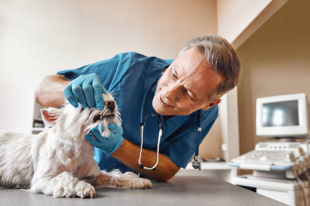 Best Emergency Tooth Extraction in Solomon, KS